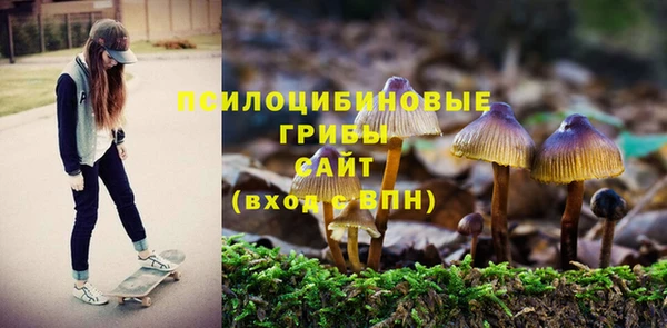 спайс Михайловск