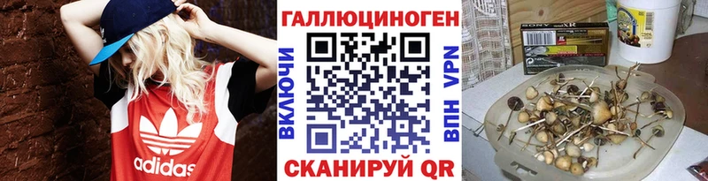 Псилоцибиновые грибы GOLDEN TEACHER  Сертолово 