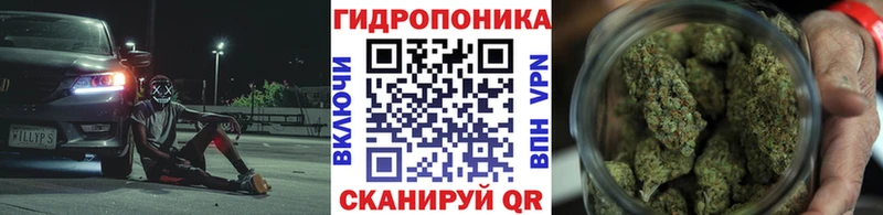 Бошки Шишки сатива  Сертолово 