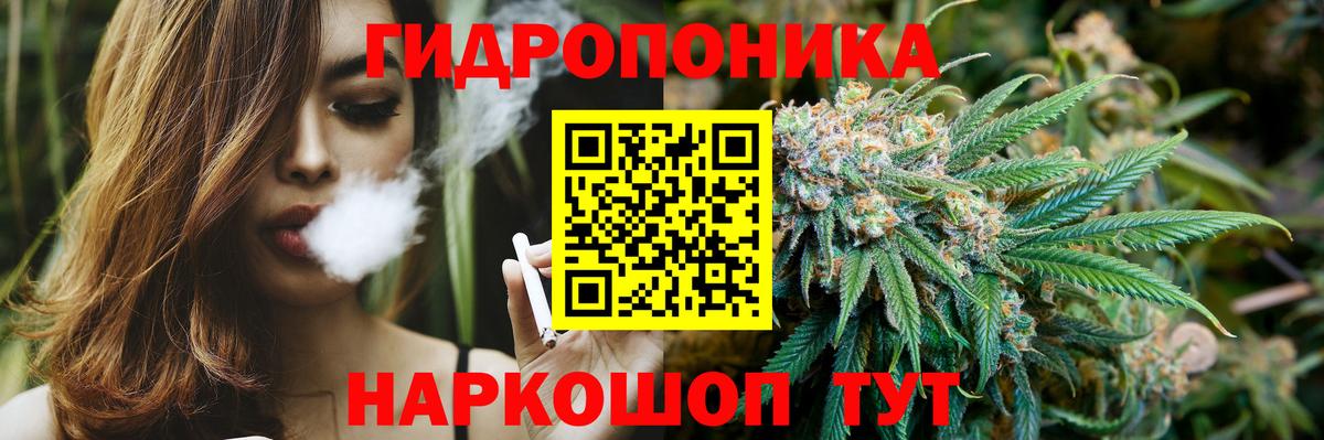 Шишки марихуана марихуана Сертолово